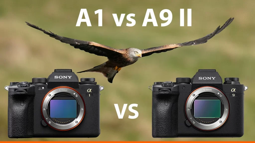 Sony (A1 and A9 series)