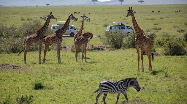 tourism in kenya